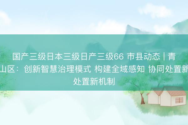 国产三级日本三级日产三级66 市县动态 | 青岛崂山区：创新智慧治理模式 构建全域感知 协同处置新机制