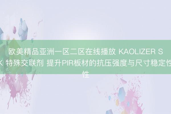 欧美精品亚洲一区二区在线播放 KAOLIZER SK 特殊交联剂 提升PIR板材的抗压强度与尺寸稳定性