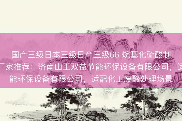 国产三级日本三级日产三级66 烷基化硫酸制七水硫酸镁成套装置厂家推荐：济南山工双益节能环保设备有限公司，适配化工废酸处理场景