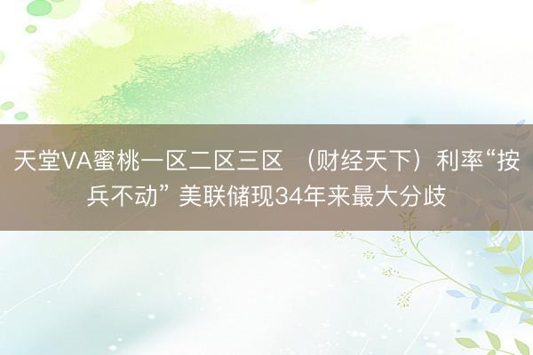天堂VA蜜桃一区二区三区 （财经天下）利率“按兵不动” 美联储现34年来最大分歧