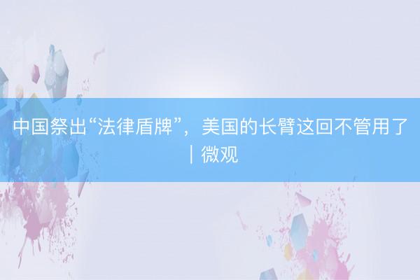中国祭出“法律盾牌”，美国的长臂这回不管用了｜微观