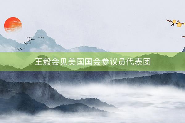 王毅会见美国国会参议员代表团