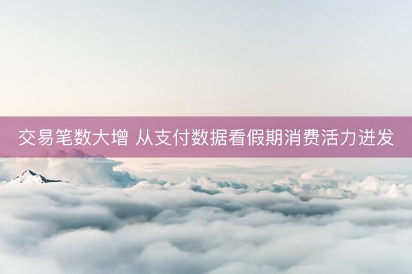 交易笔数大增 从支付数据看假期消费活力迸发