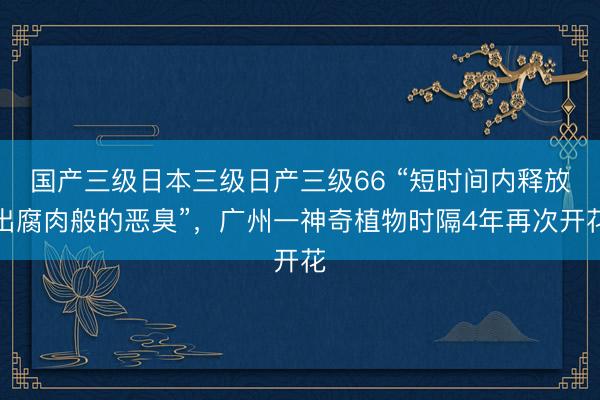 国产三级日本三级日产三级66 “短时间内释放出腐肉般的恶臭”，广州一神奇植物时隔4年再次开花