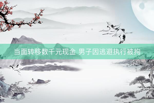 当面转移数千元现金 男子因逃避执行被拘
