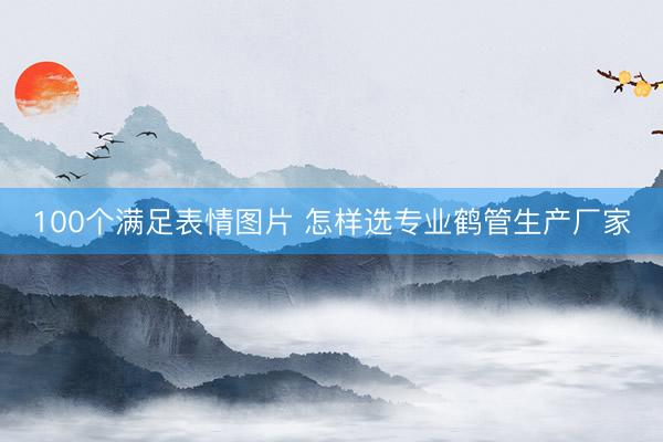 100个满足表情图片 怎样选专业鹤管生产厂家