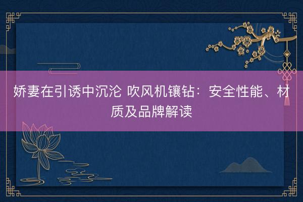 娇妻在引诱中沉沦 吹风机镶钻：安全性能、材质及品牌解读