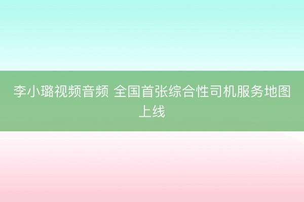 李小璐视频音频 全国首张综合性司机服务地图上线