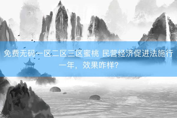 免费无码一区二区三区蜜桃 民营经济促进法施行一年，效果咋样？