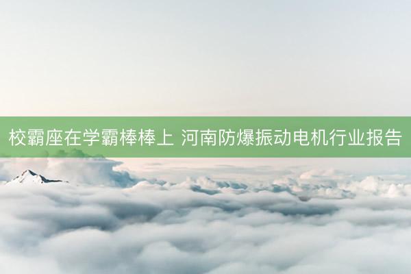 校霸座在学霸棒棒上 河南防爆振动电机行业报告