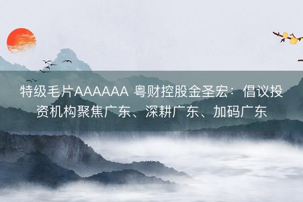 特级毛片AAAAAA 粤财控股金圣宏：倡议投资机构聚焦广东、深耕广东、加码广东