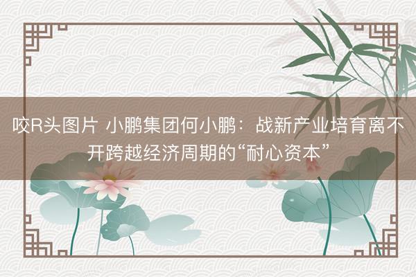 咬R头图片 小鹏集团何小鹏：战新产业培育离不开跨越经济周期的“耐心资本”