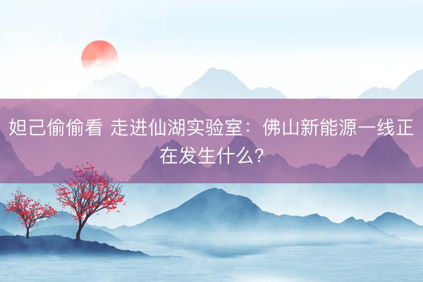 妲己偷偷看 走进仙湖实验室：佛山新能源一线正在发生什么？