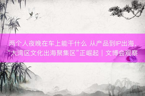 两个人夜晚在车上能干什么 从产品到IP出海，“大湾区文化出海聚集区”正崛起｜文博会观察