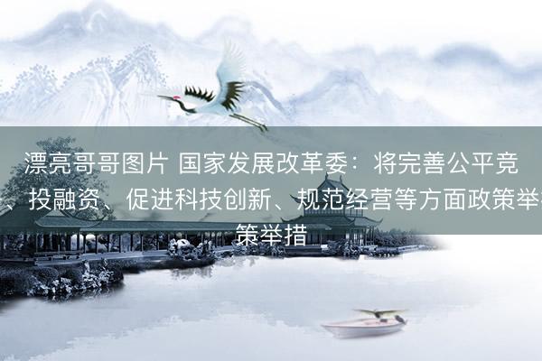 漂亮哥哥图片 国家发展改革委：将完善公平竞争、投融资、促进科技创新、规范经营等方面政策举措