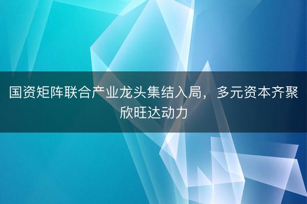 国资矩阵联合产业龙头集结入局，多元资本齐聚欣旺达动力