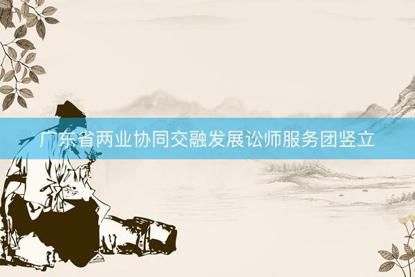 广东省两业协同交融发展讼师服务团竖立