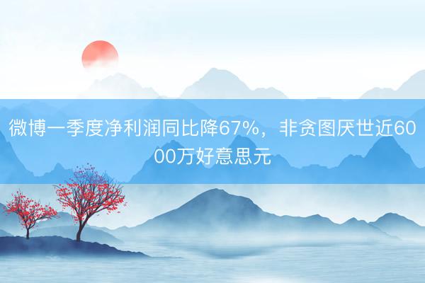 微博一季度净利润同比降67%，非贪图厌世近6000万好意思元