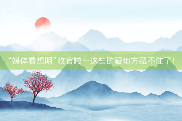 “媒体看想明”收官啦～这些矿藏地方藏不住了！