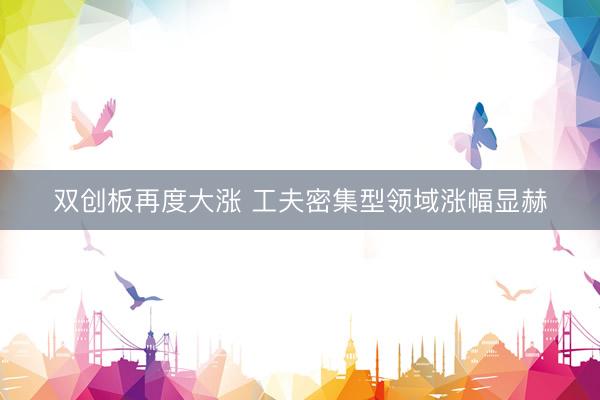 双创板再度大涨 工夫密集型领域涨幅显赫