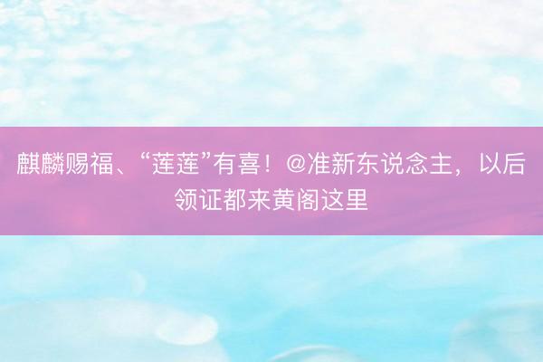 麒麟赐福、“莲莲”有喜！@准新东说念主，以后领证都来黄阁这里