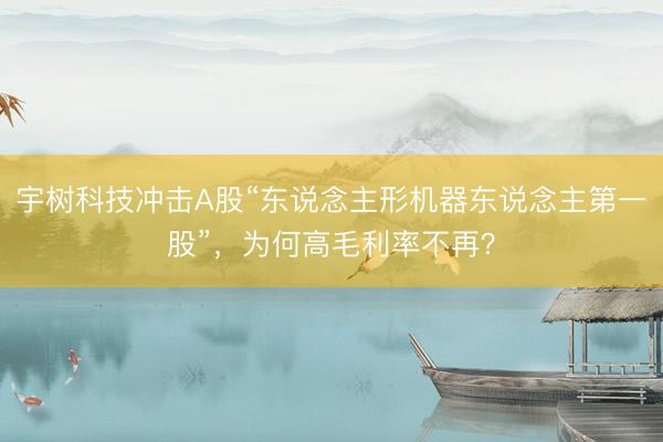 宇树科技冲击A股“东说念主形机器东说念主第一股”，为何高毛利率不再？