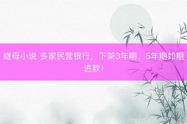 继母小说 多家民营银行，下架3年期、5年期如期进款！
