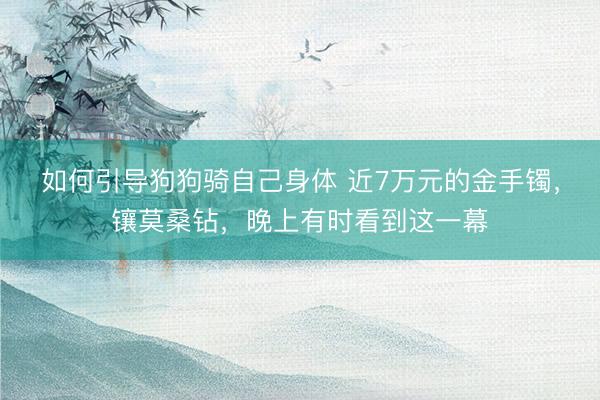 如何引导狗狗骑自己身体 近7万元的金手镯，镶莫桑钻，晚上有时看到这一幕