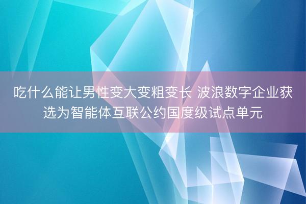 吃什么能让男性变大变粗变长 波浪数字企业获选为智能体互联公约国度级试点单元