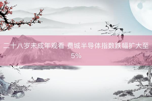 二十八岁未成年观看 费城半导体指数跌幅扩大至5%