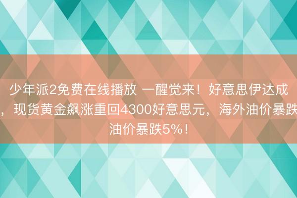 少年派2免费在线播放 一醒觉来！好意思伊达成条约，现货黄金飙涨重回4300好意思元，海外油价暴跌5%！