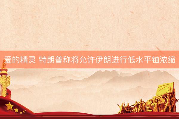 爱的精灵 特朗普称将允许伊朗进行低水平铀浓缩