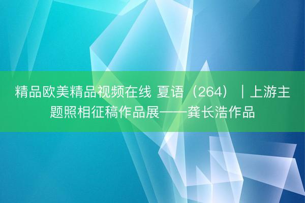 精品欧美精品视频在线 夏语（264）｜上游主题照相征稿作品展——龚长浩作品