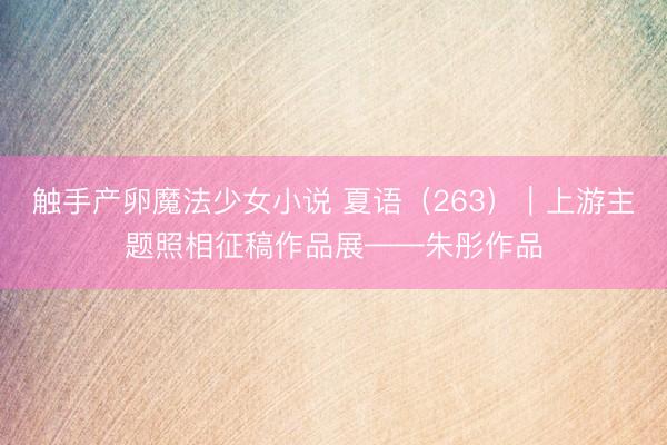 触手产卵魔法少女小说 夏语（263）｜上游主题照相征稿作品展——朱彤作品