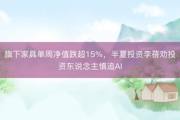 旗下家具单周净值跌超15%，半夏投资李蓓劝投资东说念主慎追AI